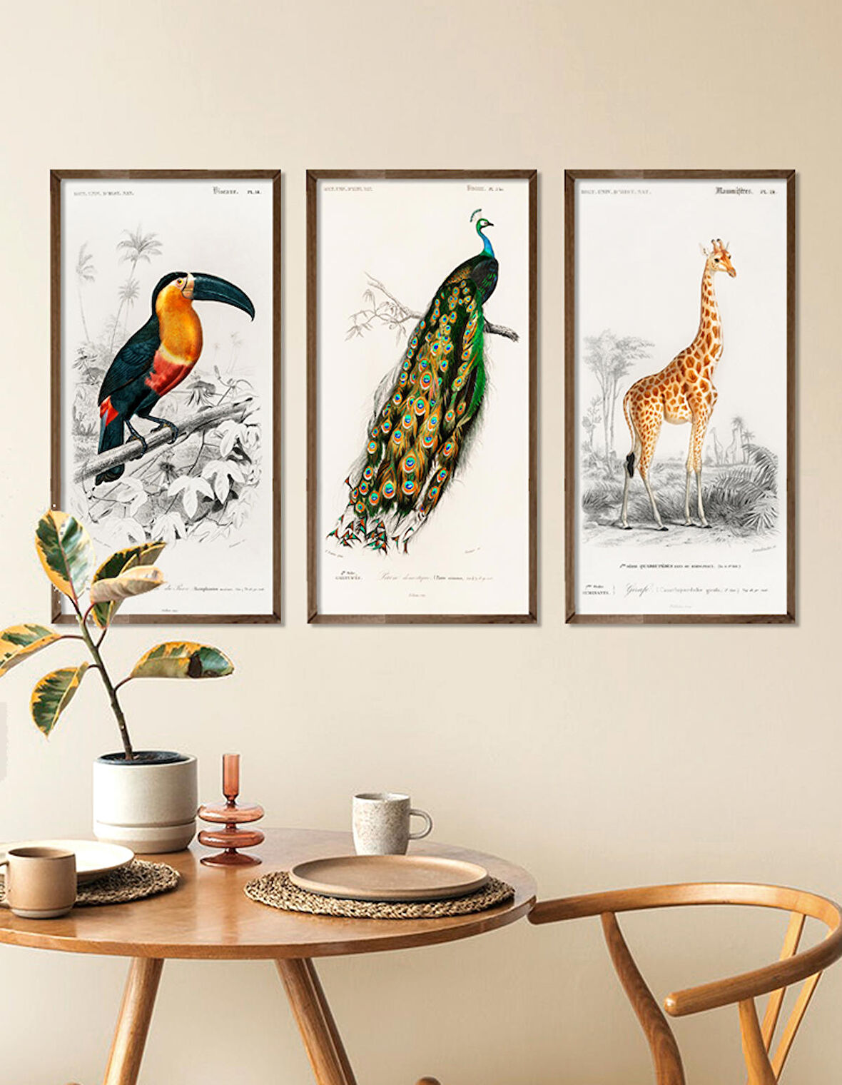 Vintage Hayvanlar Ahşap Çerçeveli Tablo Set (25x49 cm)