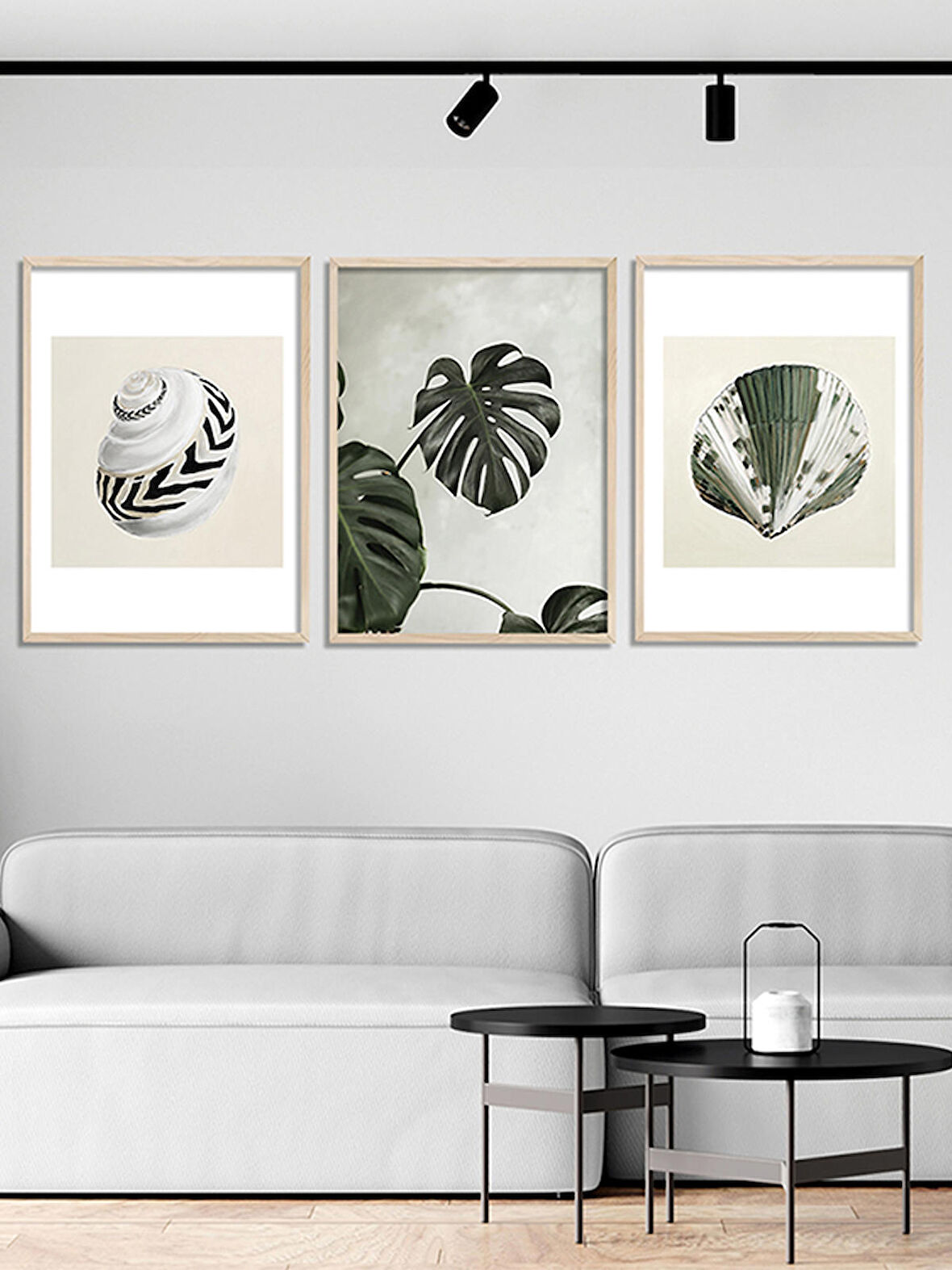 Vetro Design Monstera ve Deniz Kabukları
