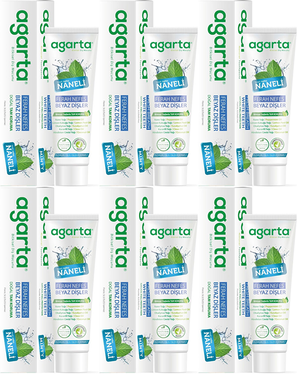 Agarta Doğal Diş Macunu 100ML Naneli (6 Lı Set)