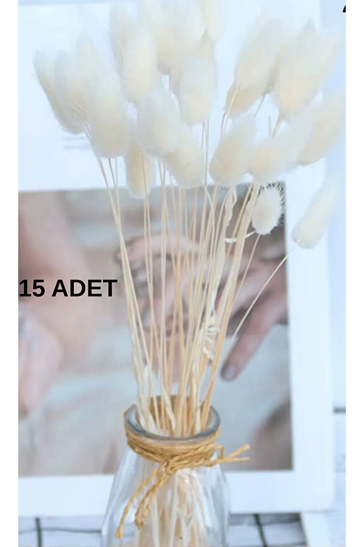 Pamuk Otu Lagurus Demet 15 Dal Tavşan Kuyruğu Kurutulmuş Çiçek Vazo Süsü 20-30 cm Arası