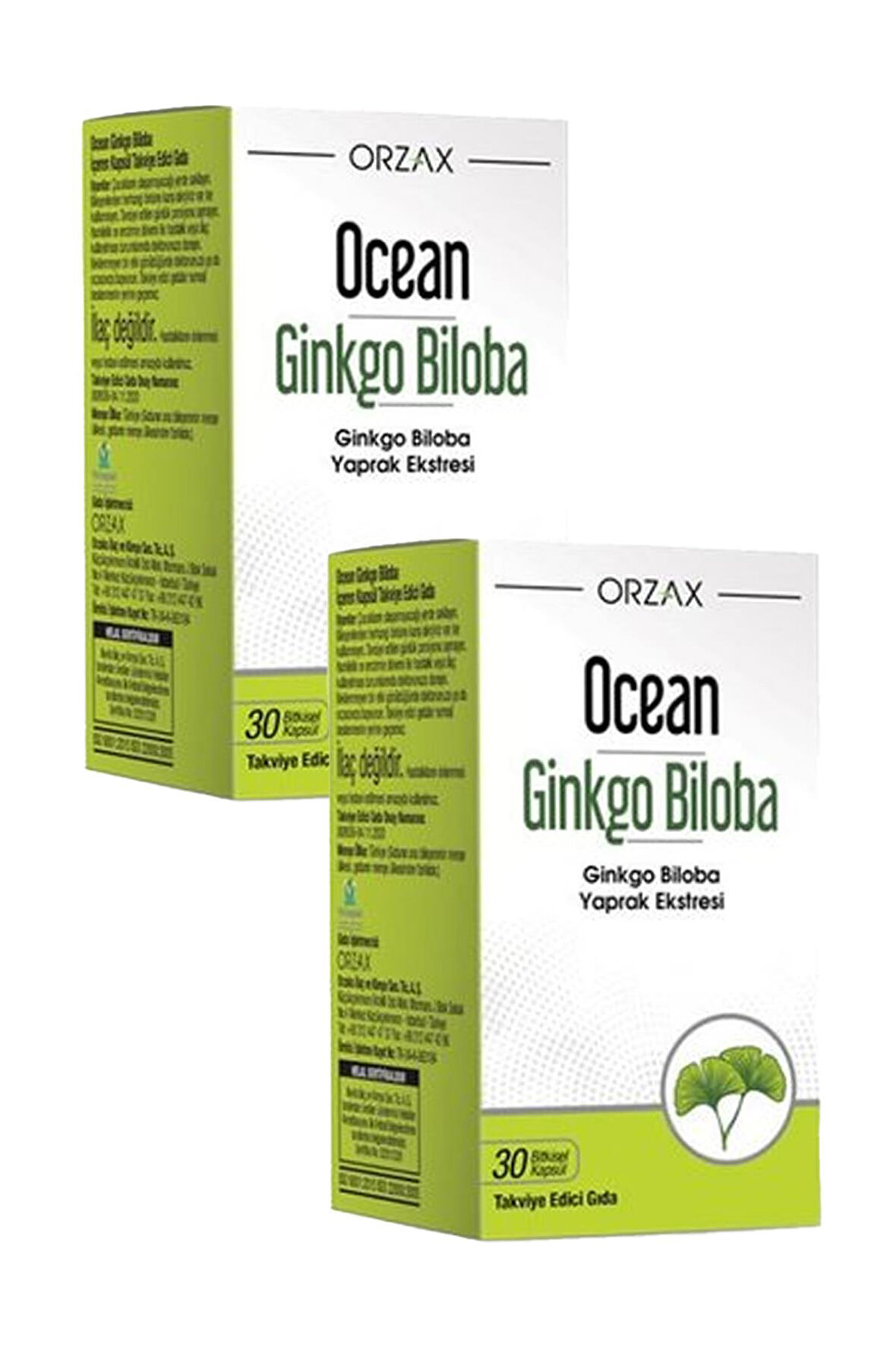 Ocean Ginkgo Biloba 30 Kapsül 2 Adet