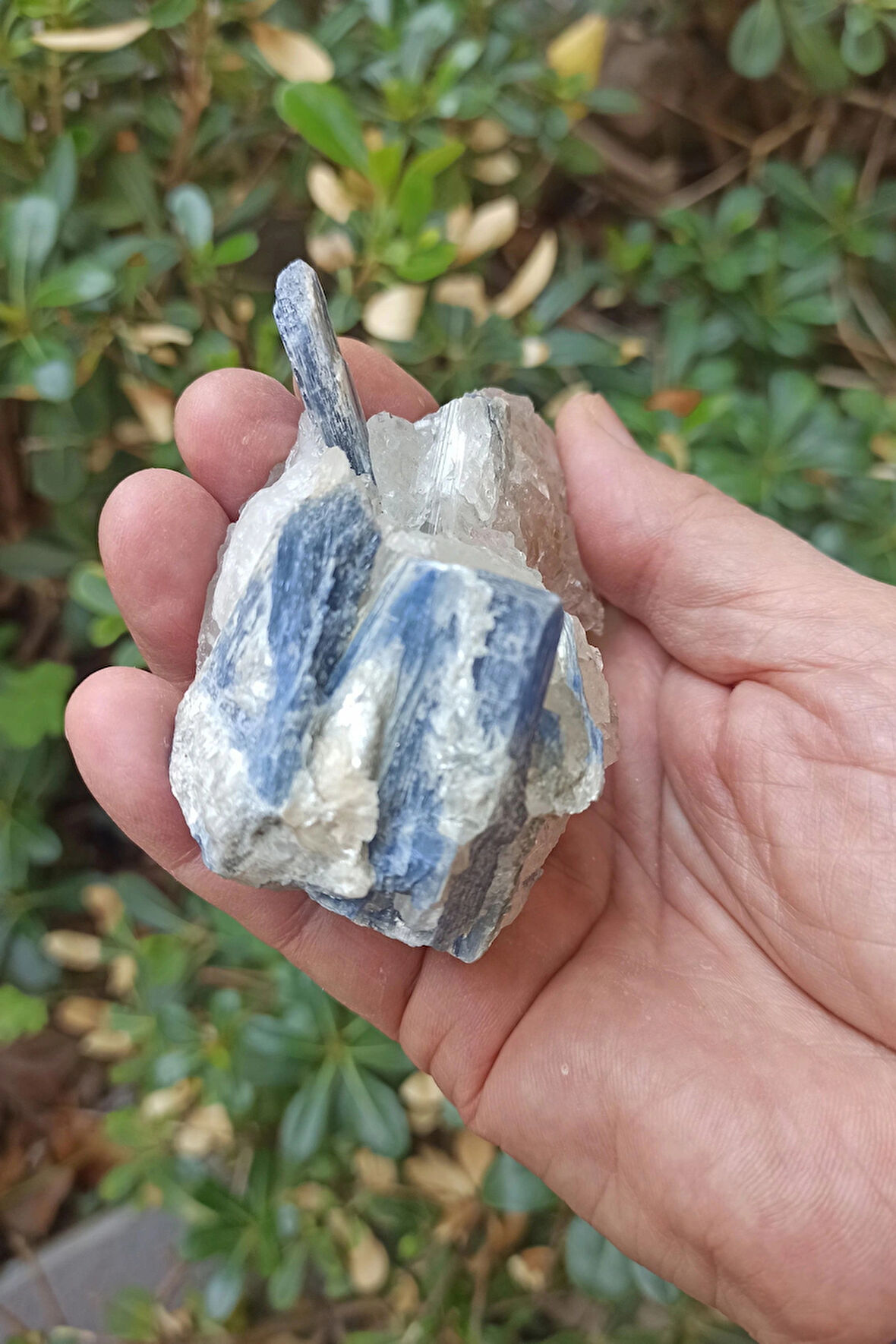 Kuvars Kristali İçinde Kyanit Koleksiyonluk Parça KY31