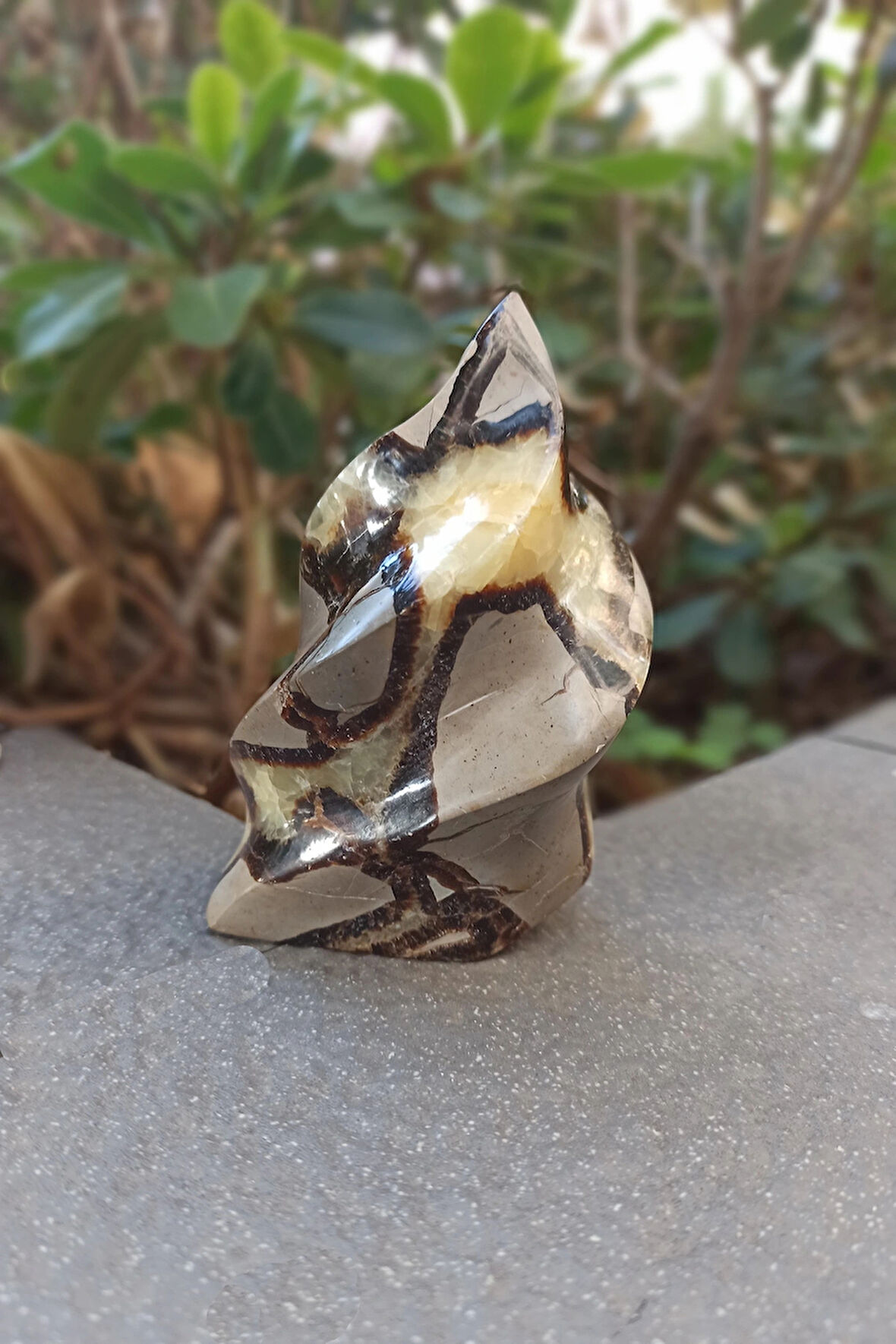 Septeryan Taşı Dekoratif Parça DS31