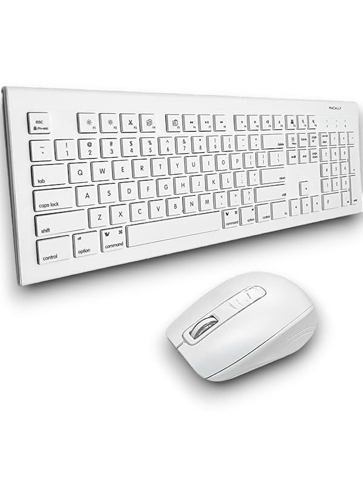 PG 8040 ile gün boyu konforlu klavye ve mouse deneyimi