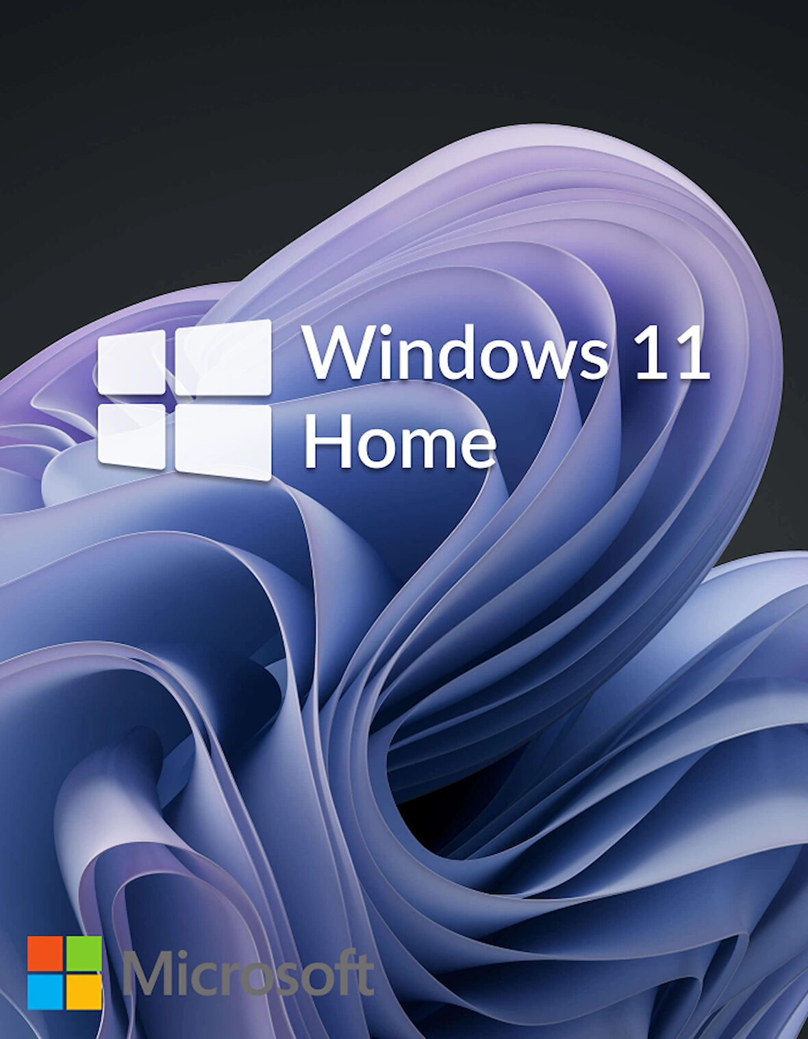 Windows 11 Home Lisans