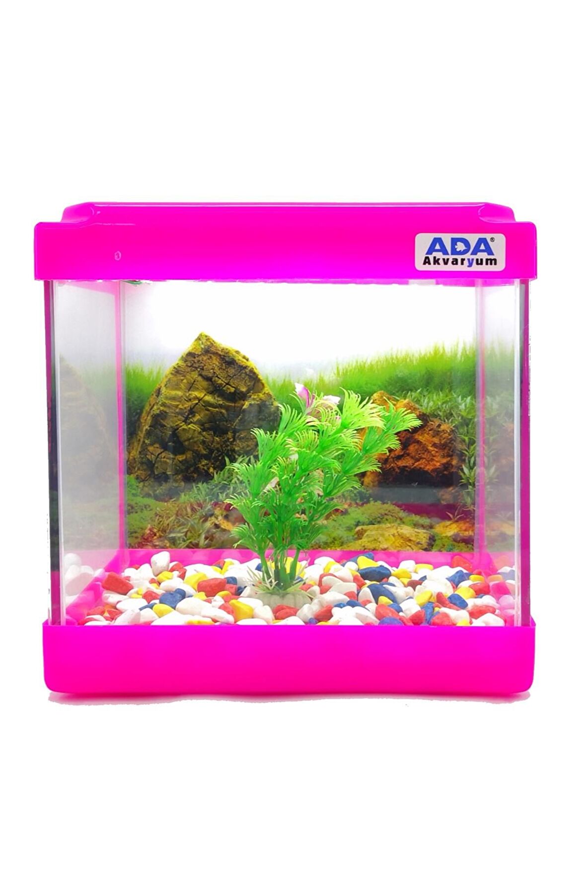 Mini Akvaryum Pembe 20x20x15 Akvaryum  Renkli Çakıl  Plastik Bitki Arka Fon