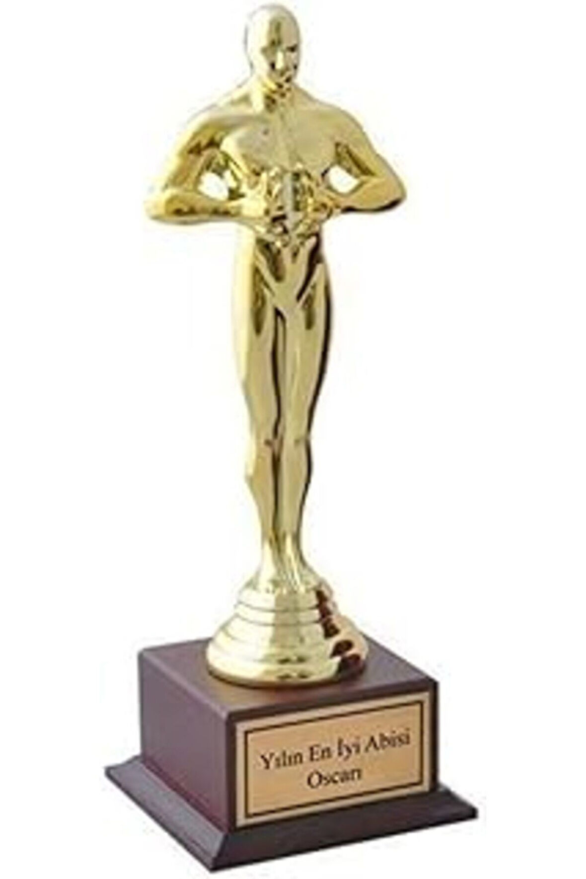 Dekoratif Hediye Yılın En Iyi Abisi Oscar Ödülü Oscar Heykeli Abiye Hediye Oskar Başarı Ödülü