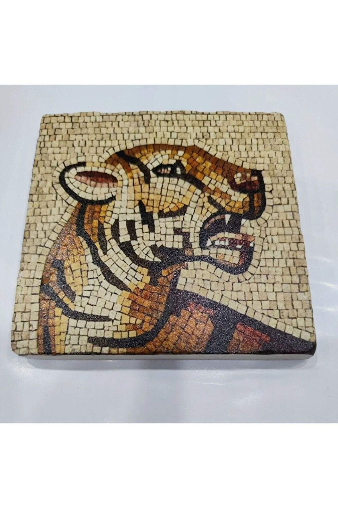 Dekoratif Figürlü Doğal Taş Banyo Gider Kapağı Süsü Tekli 10x10 Cm Model 31