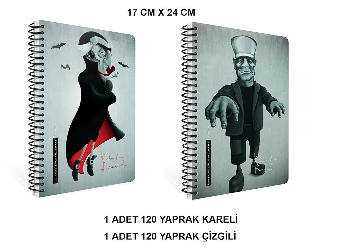 Gıpta Classica Spiralli Sert Kapak 17x24 120 Yaprak ( 2 ADET DEFTER)