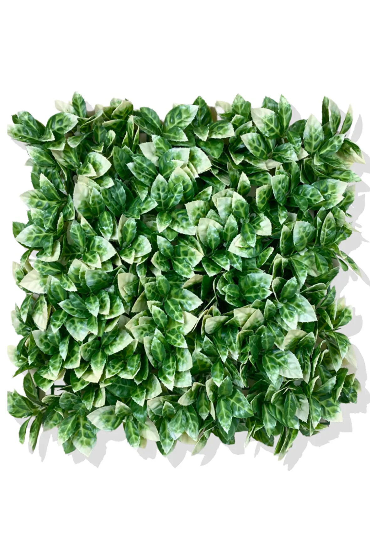 YAPAY BEYAZ DETAYLI PORTAKAL YAPRAĞI BİTKİ DUVAR KAPLAMA 50X50 CM