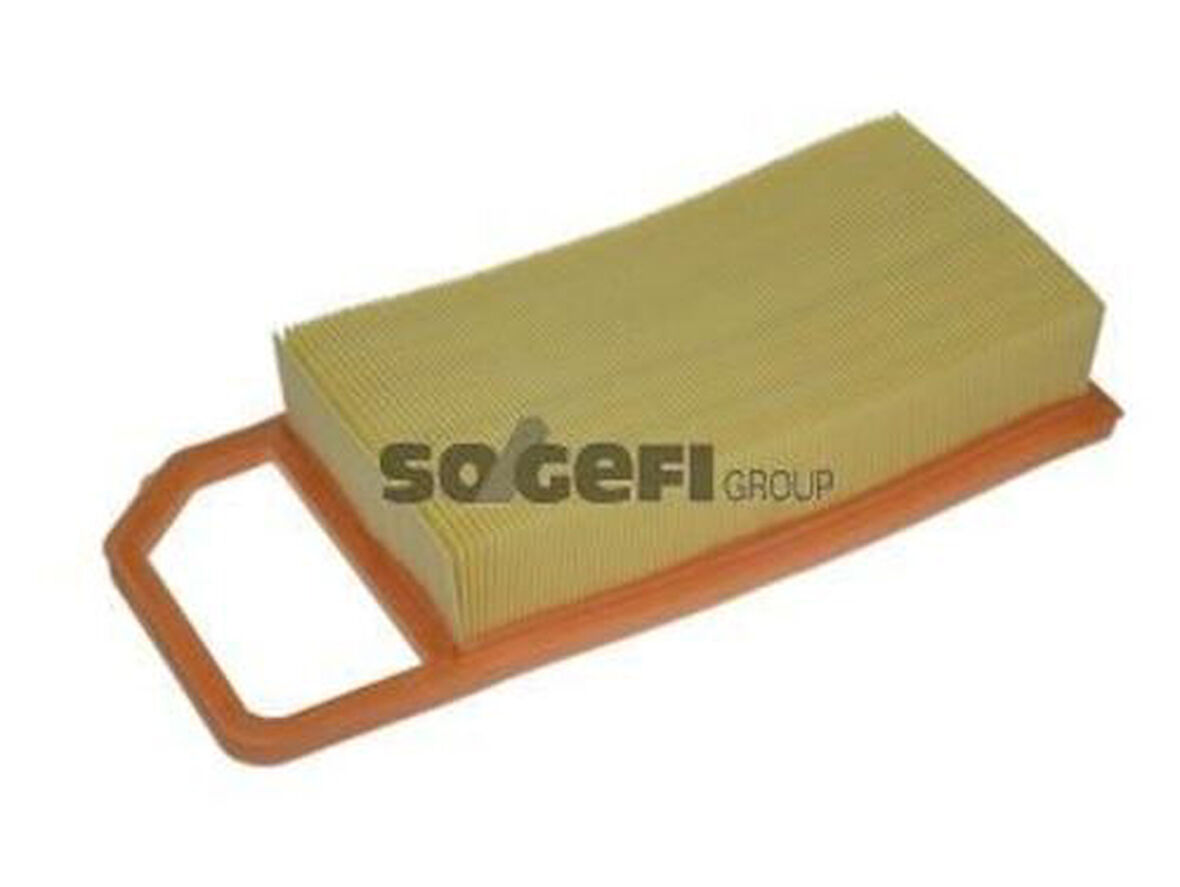 Purflux A1180 Hava Filtresi P407 C5 C5 II Ew7A Ew7J4 Ew12J4 Ew10J4 04-Oe 1444.EZ