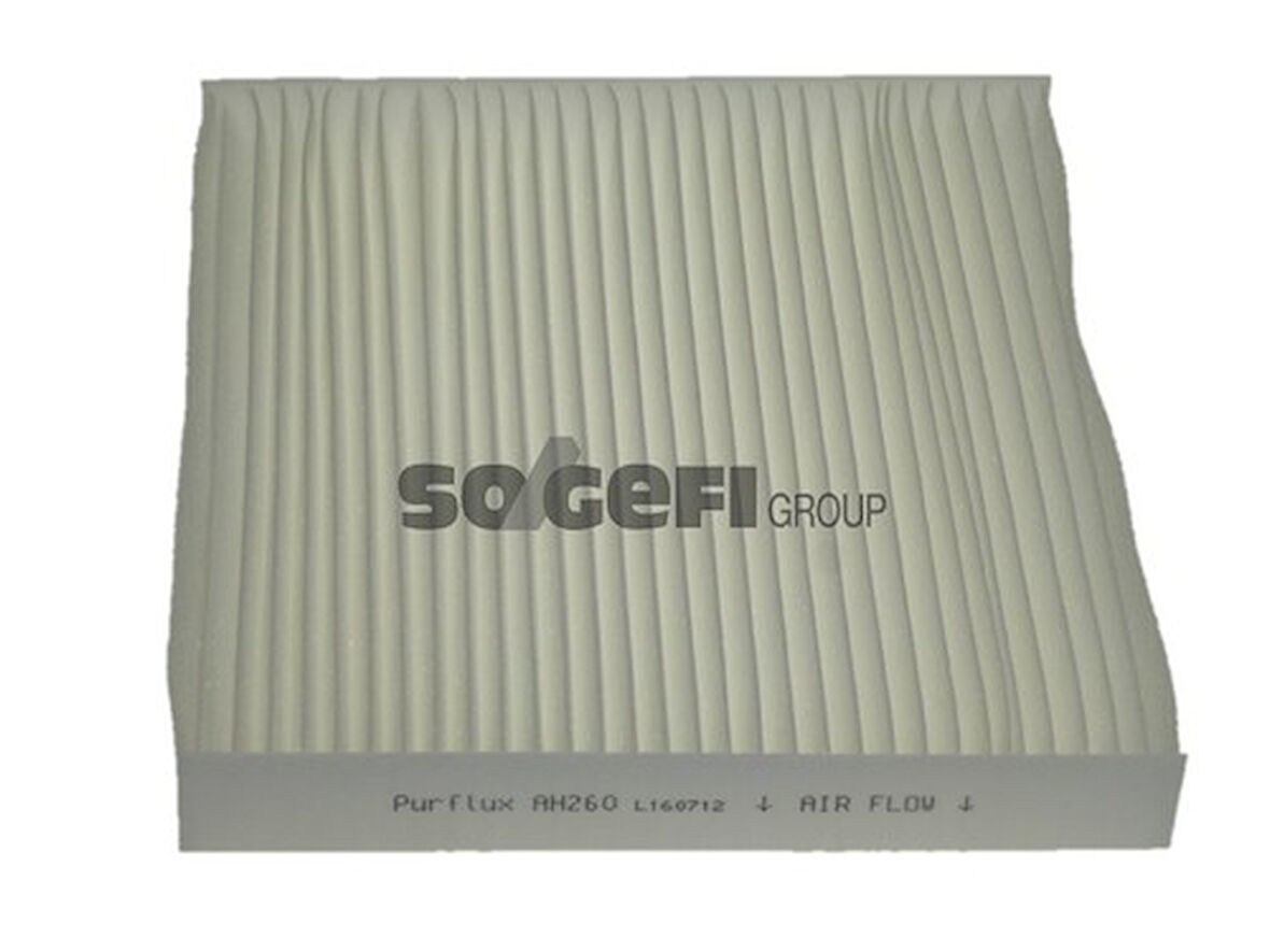 Purflux Ah260 Polen Filtresi Hyundaı Santa Fe 06-12 Sonata 04-07 Magentıs 05-10