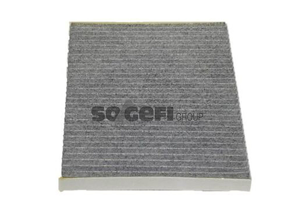 Purflux AHC104 Polen Filtresi Vag 8200262686