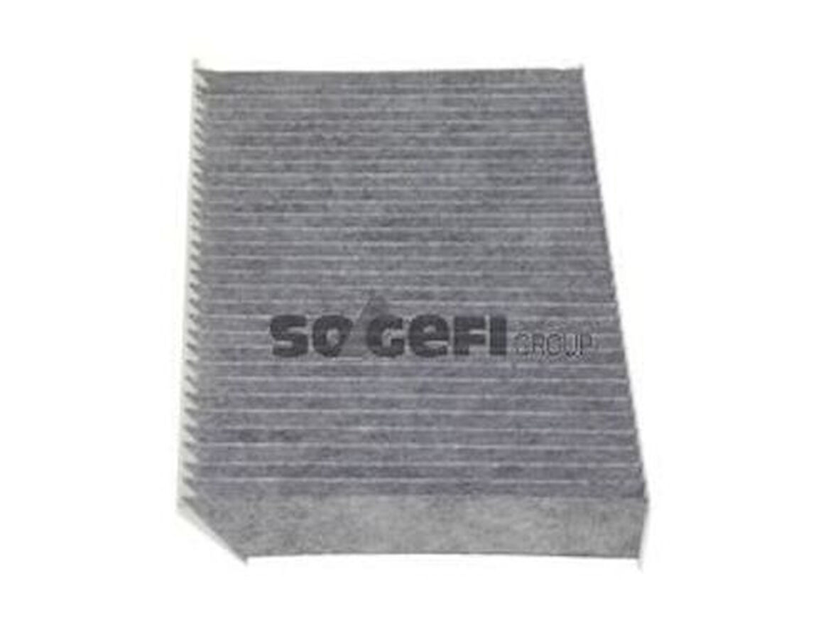 Purflux AHC281 Polen Filtresi Megane III Scenic III Karbonlu 272773488R