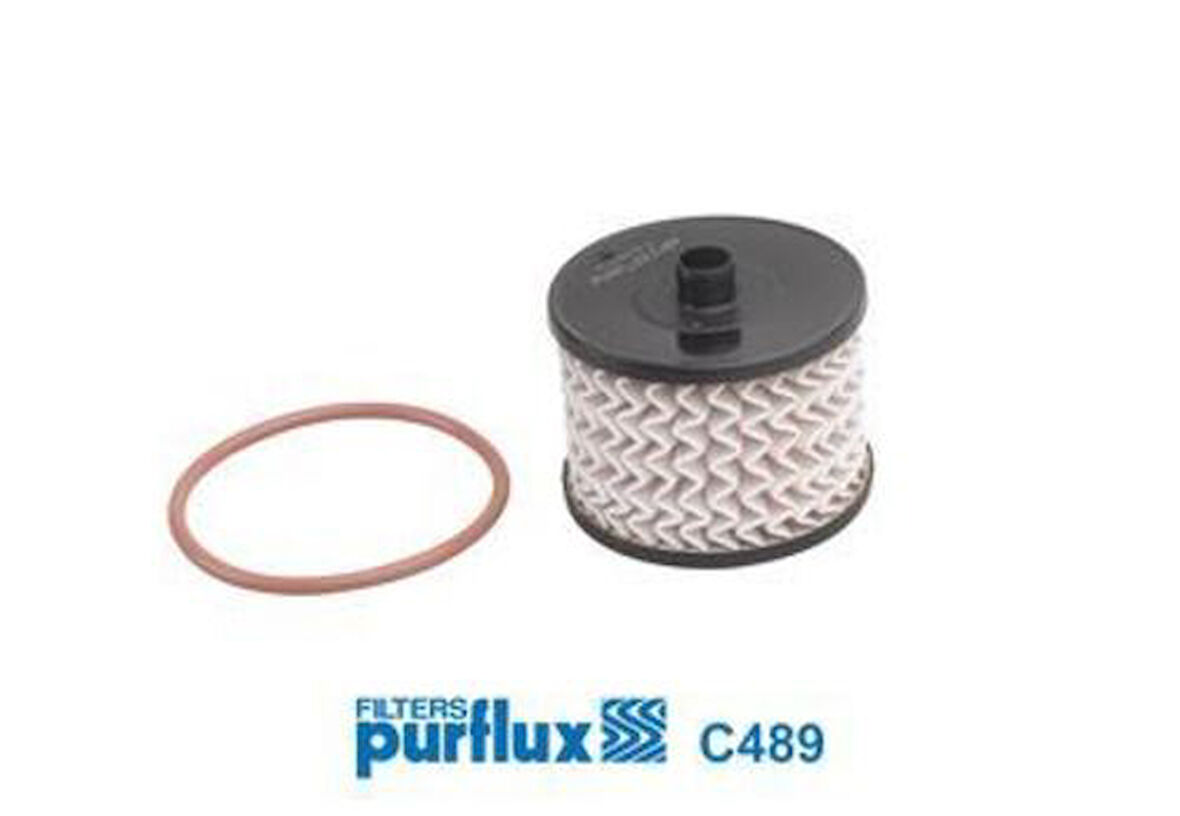 Purflux C489 Mazot Filtresi P307 P407 P607 P807 Expert II 2.0HDI C4 C5 C8 DW10Bted4 2.0HDI 16V Focus II C-Max oe 190177