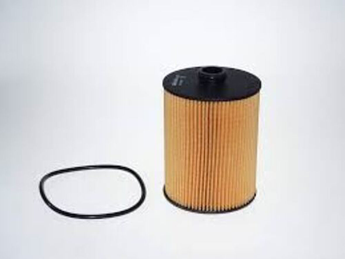 Purflux L1071 Yağ Filtresi Passat Touareg Superb 3.6 FSI V6 08- 958.107.222.10