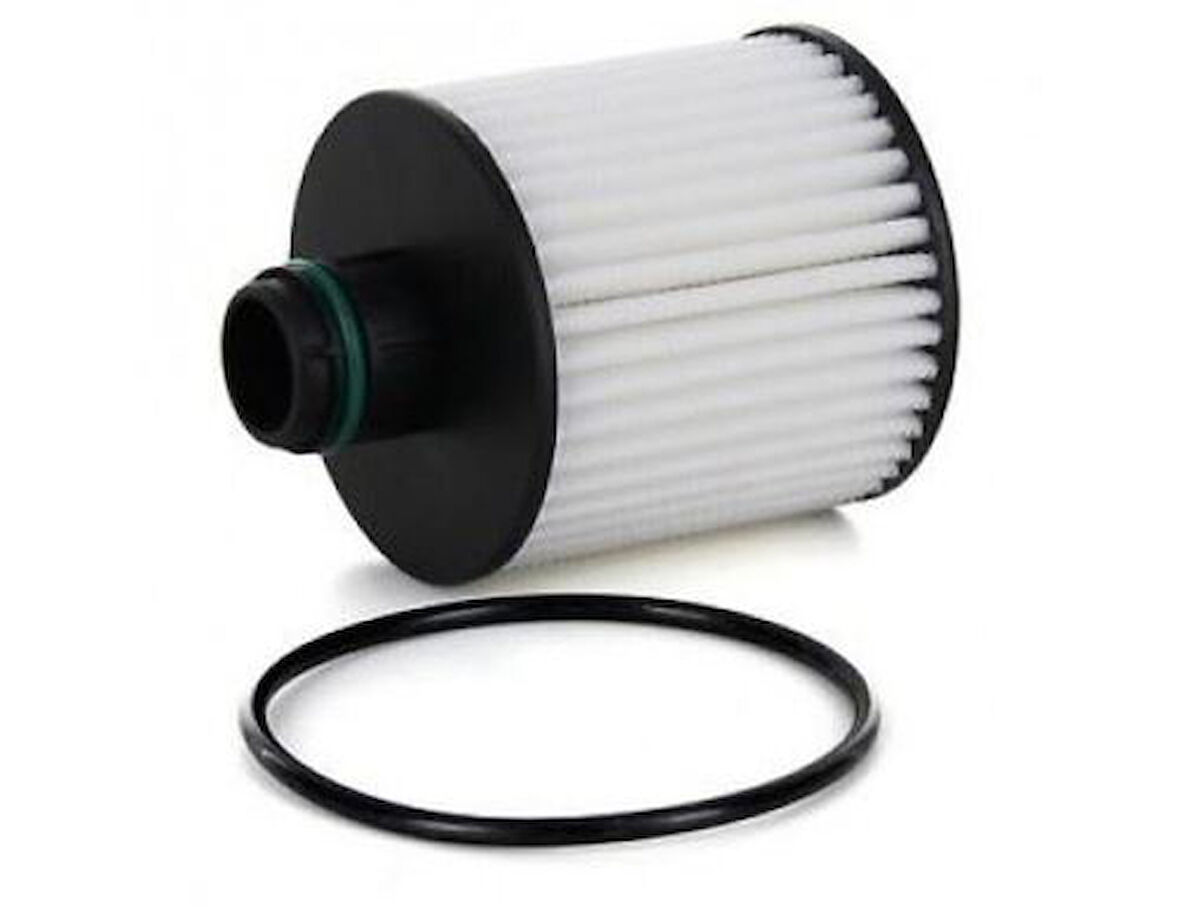 Purflux L1074 Yağ Filtresi Fiat Egea 1.3D 07-16 And Doblo 1.3D 15 68357879AA