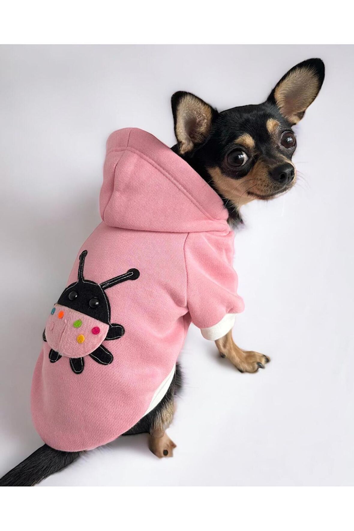 Pink Ladybird Köpek Sweatshirt, Hoodie, Köpek Kazağı, Köpek Kıyafeti