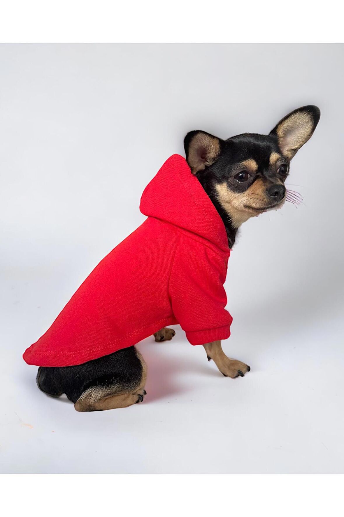 Redly Köpek Sweatshirt, Hoodie, Köpek Kazağı, Köpek Kıyafeti