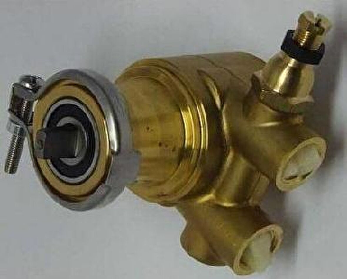 Bezzera Kahve Makinası Pompası Reneka Espresso Makineleri İçin