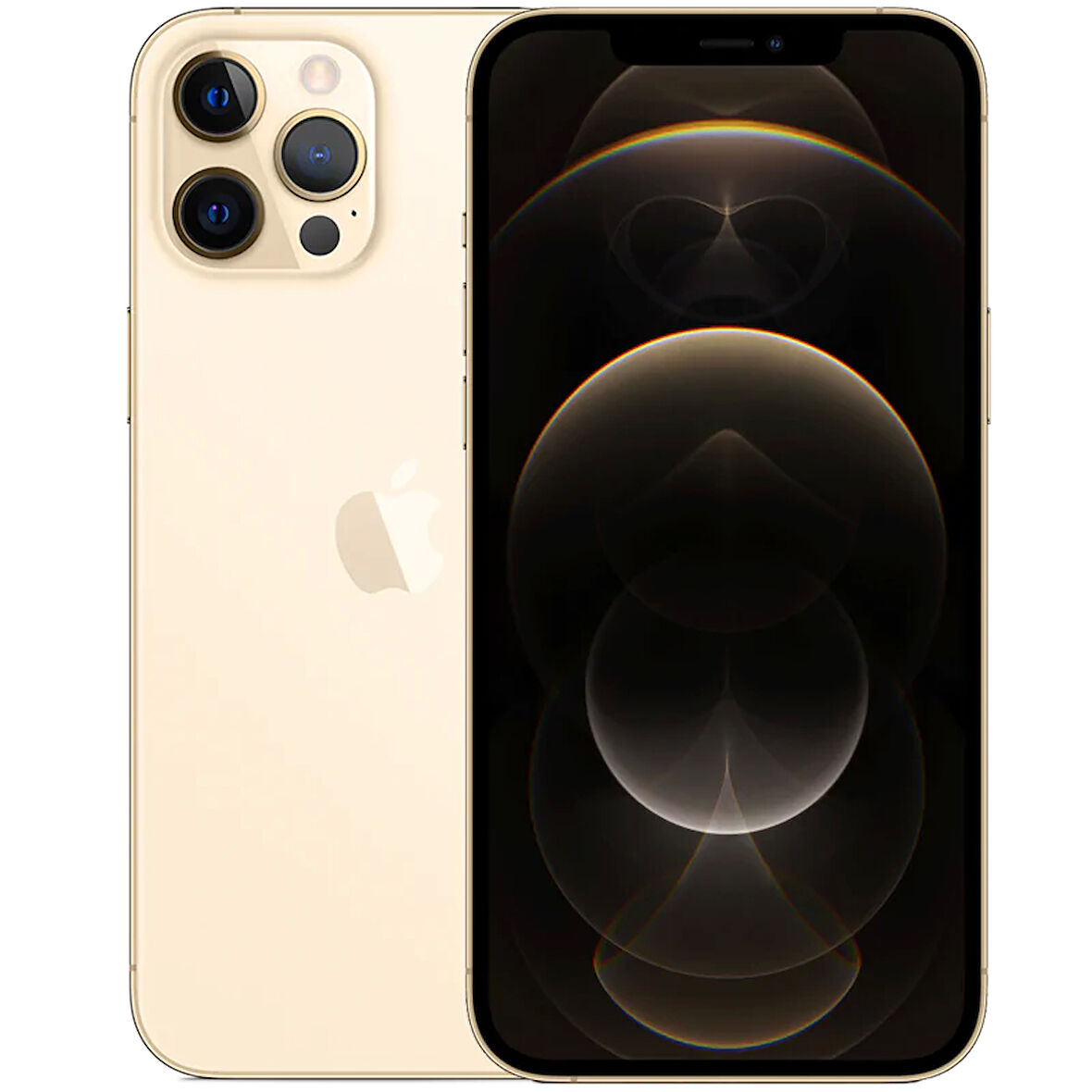 Yenilenmiş iPhone 12 Pro Max 256 GB Grafit Cep Telefonu (12 Ay Garantili) - B Kalite