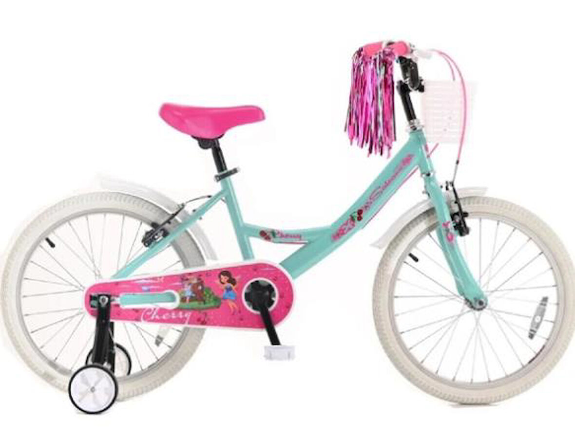 Salcano Cherry 20 Jant Turkuaz Pembe Kız Çocuk Bisikleti