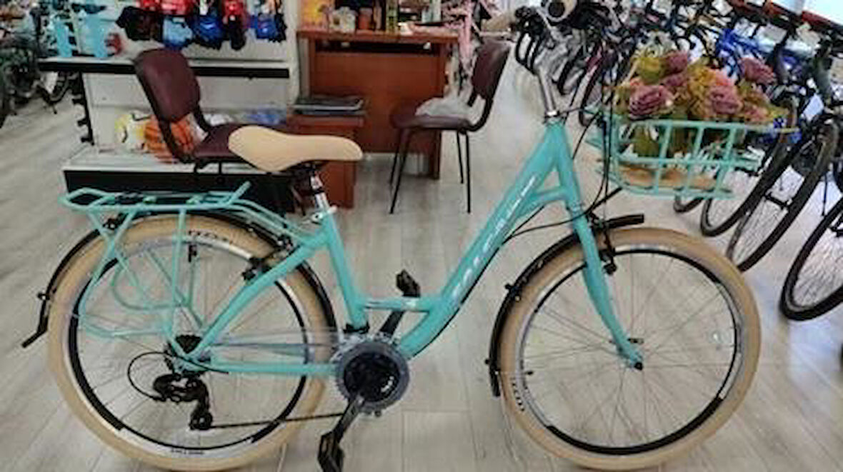 Salcano Flyer 24 Mat Trukuaz Gümüş Çocuk Şehir Bisikleti