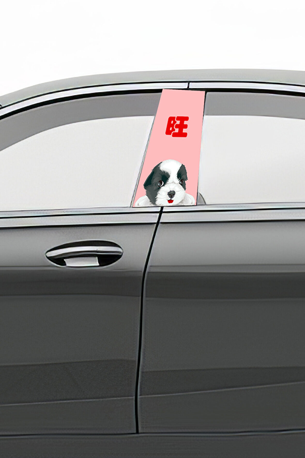 Araç Kapı Direk Kaplama Folyosu Desenli (Sağ Sol Takım) (2 Adet) - 22x50 Cm