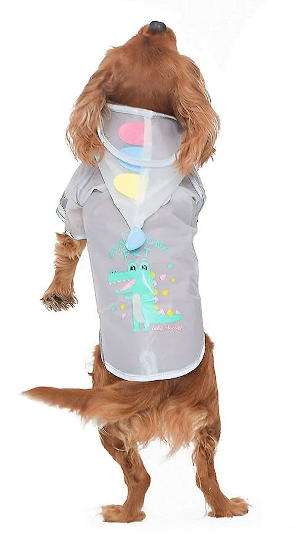 Köpek Küçük ve Orta Irk Yağmurluk Crocodile