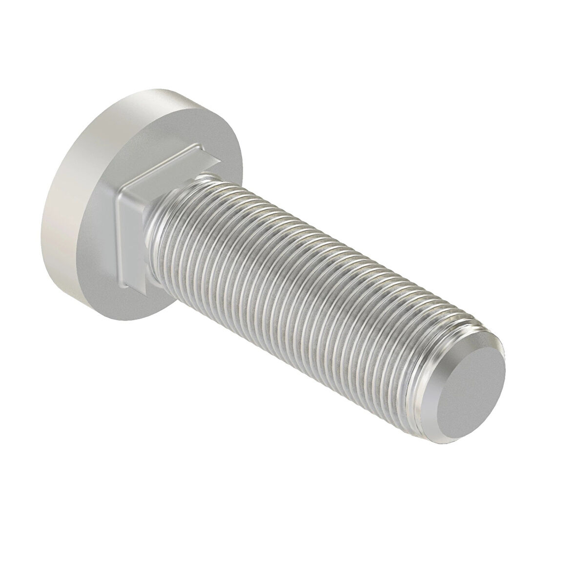 CİVATA,BİJON R245221