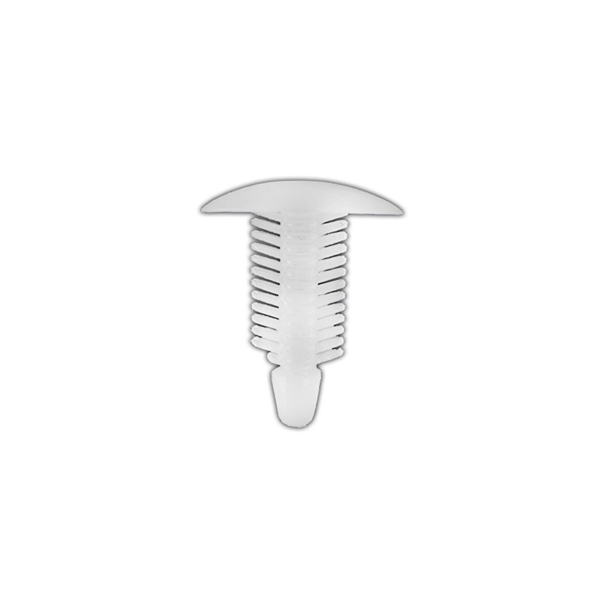Universal Klips Şeffaf 10X22X22mm 10 Adet