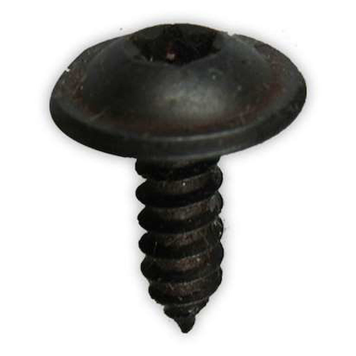 Torx Vida 4,2X13X12 6925W3 2036817 11900469 Peugeot 308 Fiat 500X BRAVO II, BRAVO Van Renault CLIO V, TWINGO ECOSPORT Skoda KAROQ OCTAVIA III Seat ATECA  25 Adet