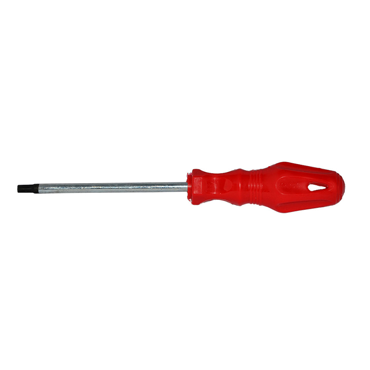 Tornavida Torx T10