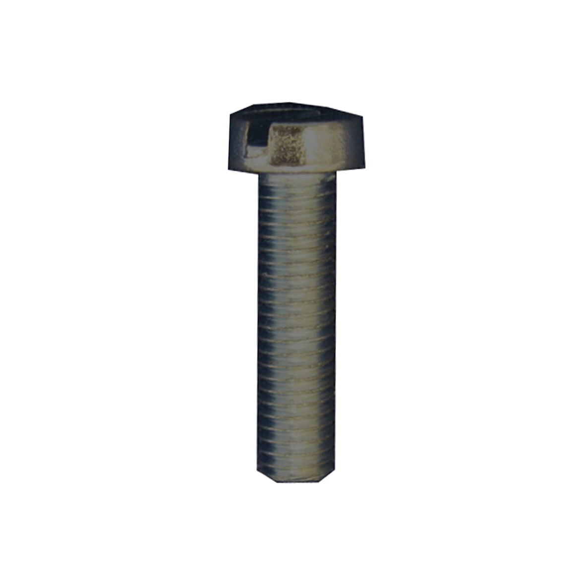 Düz Dilindir Başlı Cıvata M5X20 25 Adet