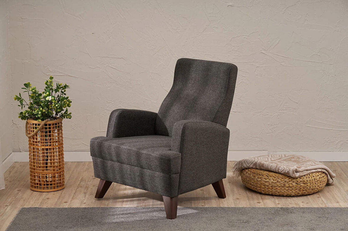 Aly Serisi Tekli Koltuk Antrasit