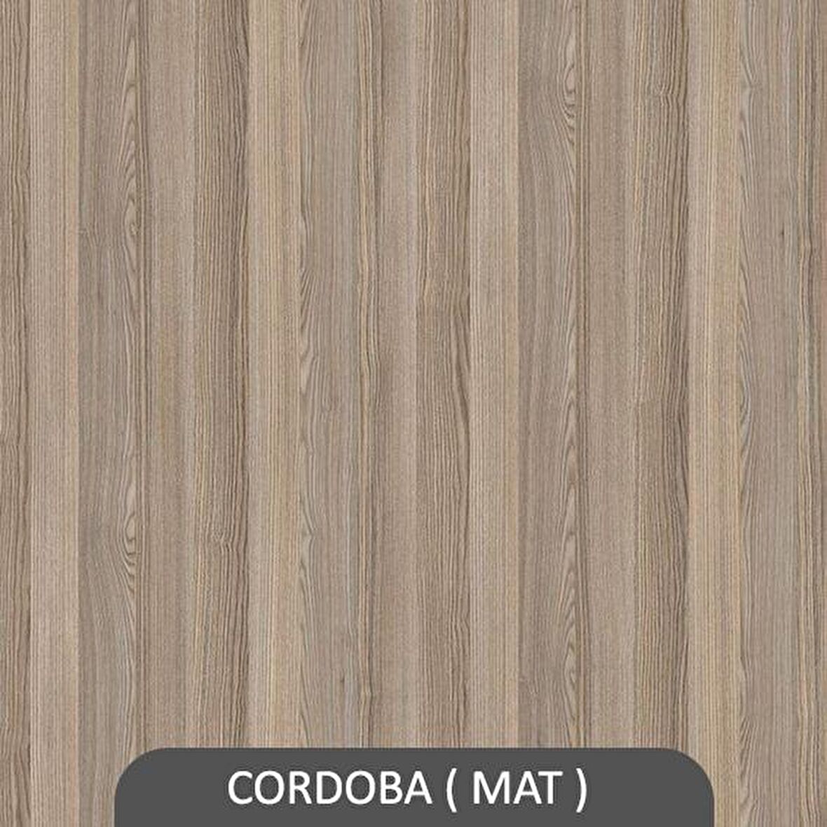 3 LÜ ATALANTA DUVAR RAF SETİ CORDOBA ( MAT )