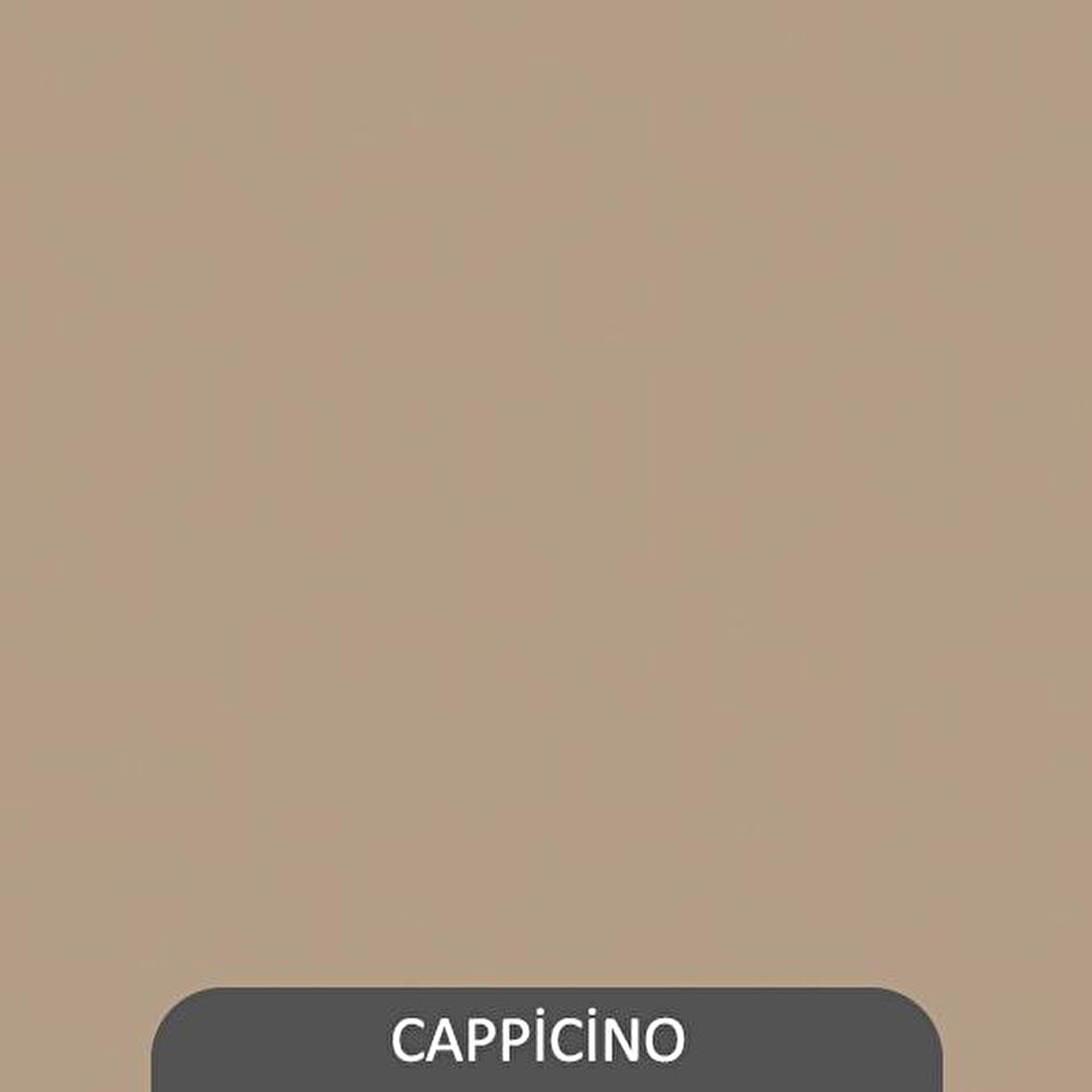 2 Lİ ZİGANA DUVAR RAFI  CAPPİCİNO