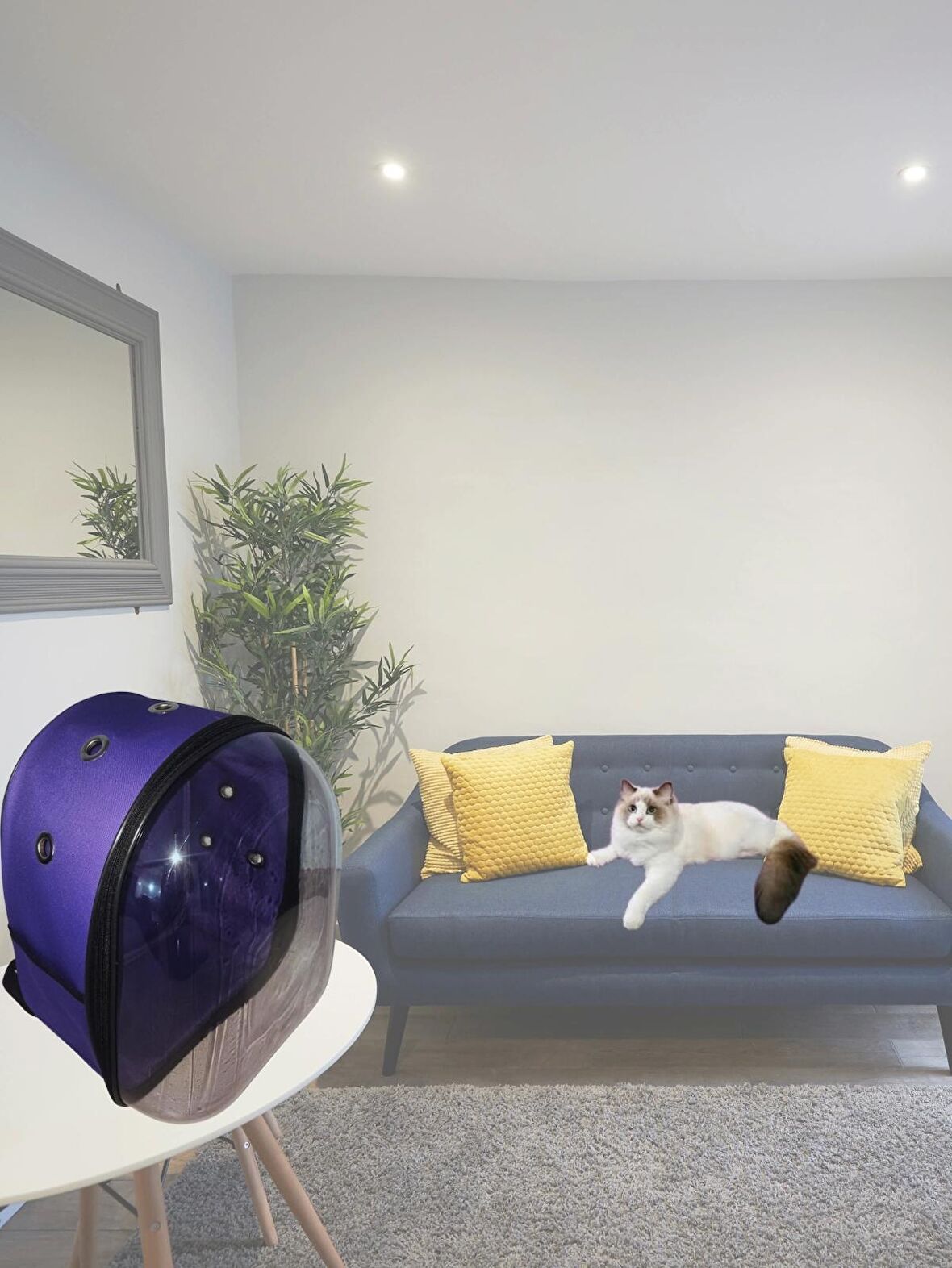 Su Geçirmez Kedi ve Köpek Taşıma Çantası