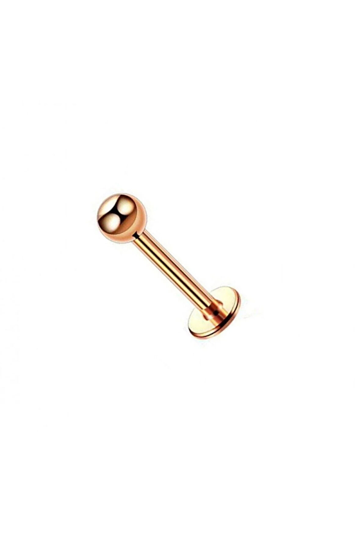 316 Cerrahi Çelik Dudak Kıkırdak Helix Tragus Piercingi