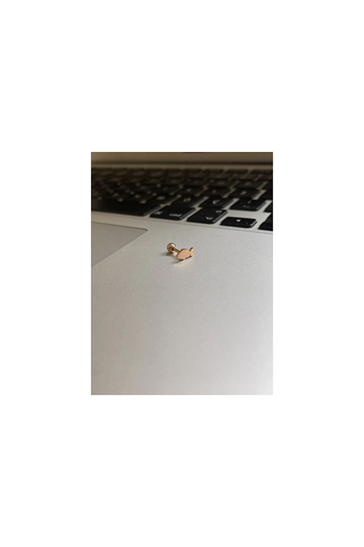 Cerrahi Çelik Tragus Helix Kıkırdak Conch Minimal Balık Piercing