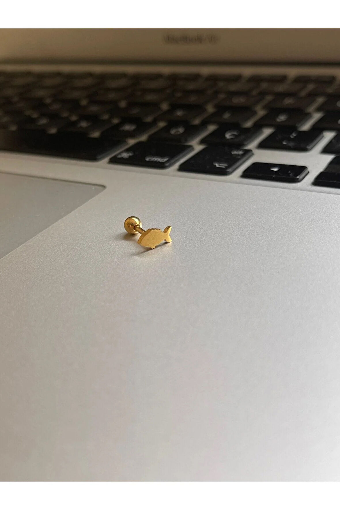 316 Cerrahi Çelik Tragus Helix Kıkırdak Conch Minimal Balık Piercing