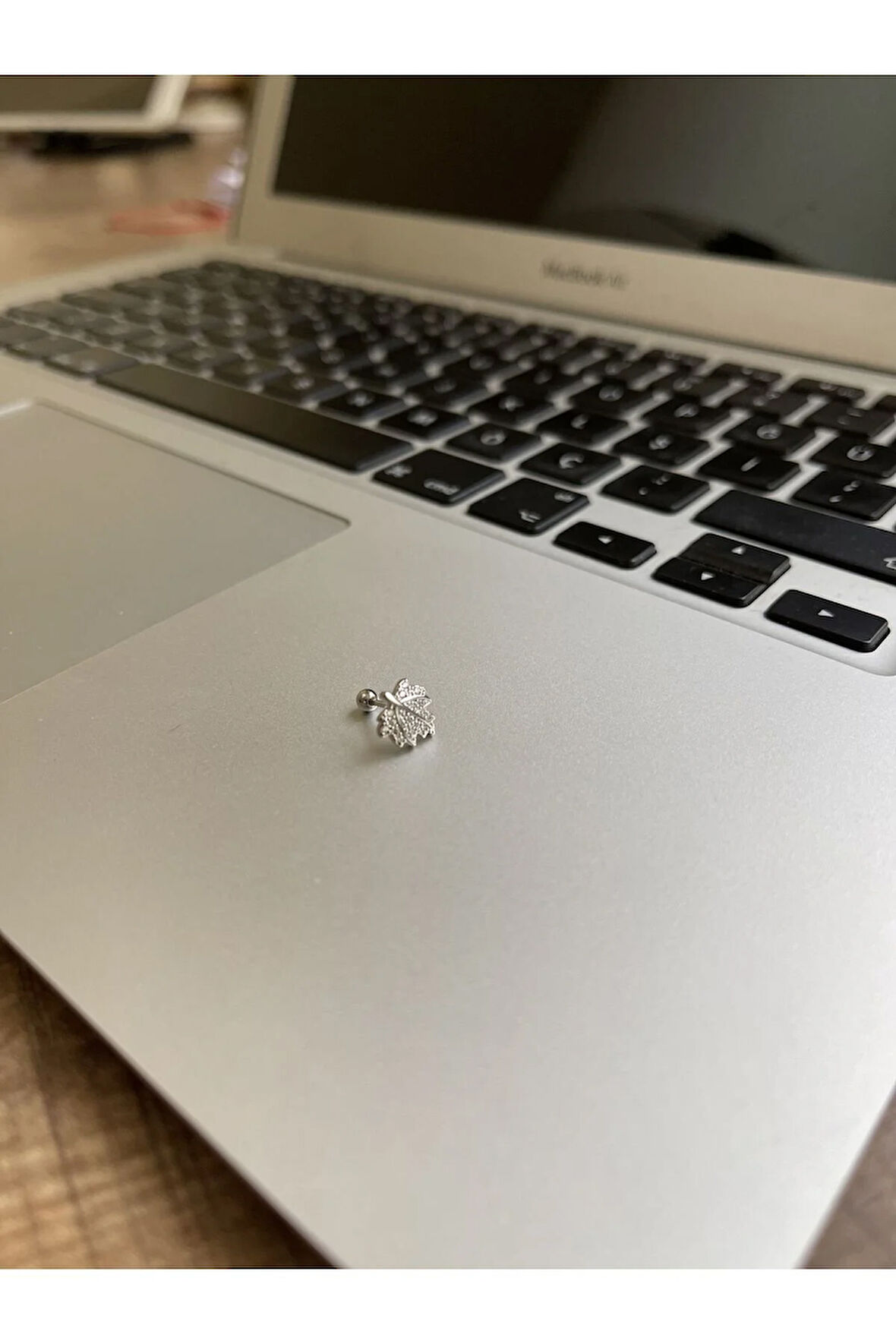 316 L Cerrahi Çelik Dudak Kıkırdak Helix Tragus Piercingi Yaprak Detaylı Piercing