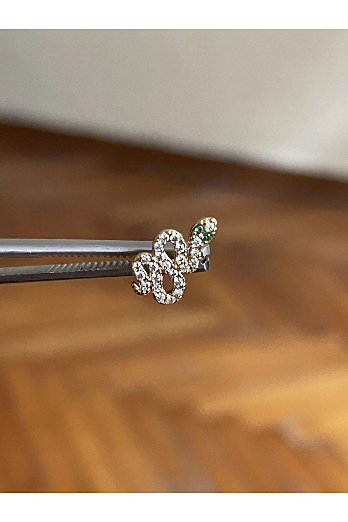 316 L Cerrahi Çelik Dudak Kıkırdak Helix Tragus Piercingi Yılan Detaylı Piercing