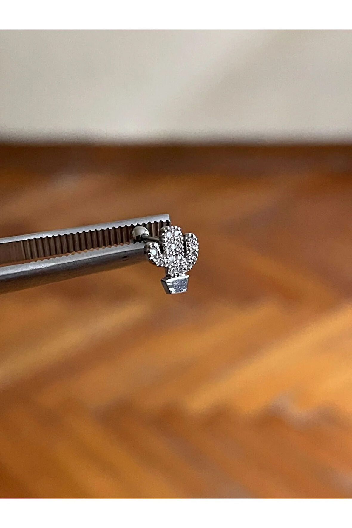 316 L Cerrahi Çelik Dudak Piercing Kıkırdak Helix Tragus Conch Zirkon Taşlı Figürlü Piercing