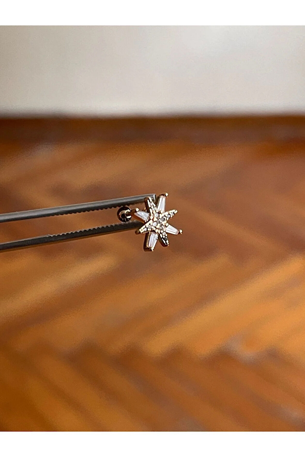 316 L Cerrahi Çelik Dudak Piercing Kıkırdak Helix Tragus Conch Zirkon Taşlı Figürlü Piercing