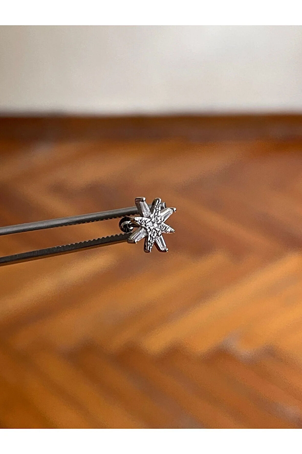 316 L Cerrahi Çelik Dudak Piercing Kıkırdak Helix Tragus Conch Zirkon Taşlı Figürlü Piercing