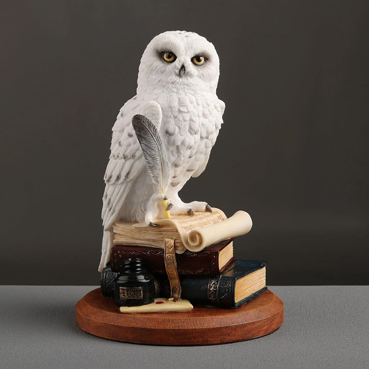 Kitap Üzerinde Beyaz Kar Baykuşu Hedwig Biblosu