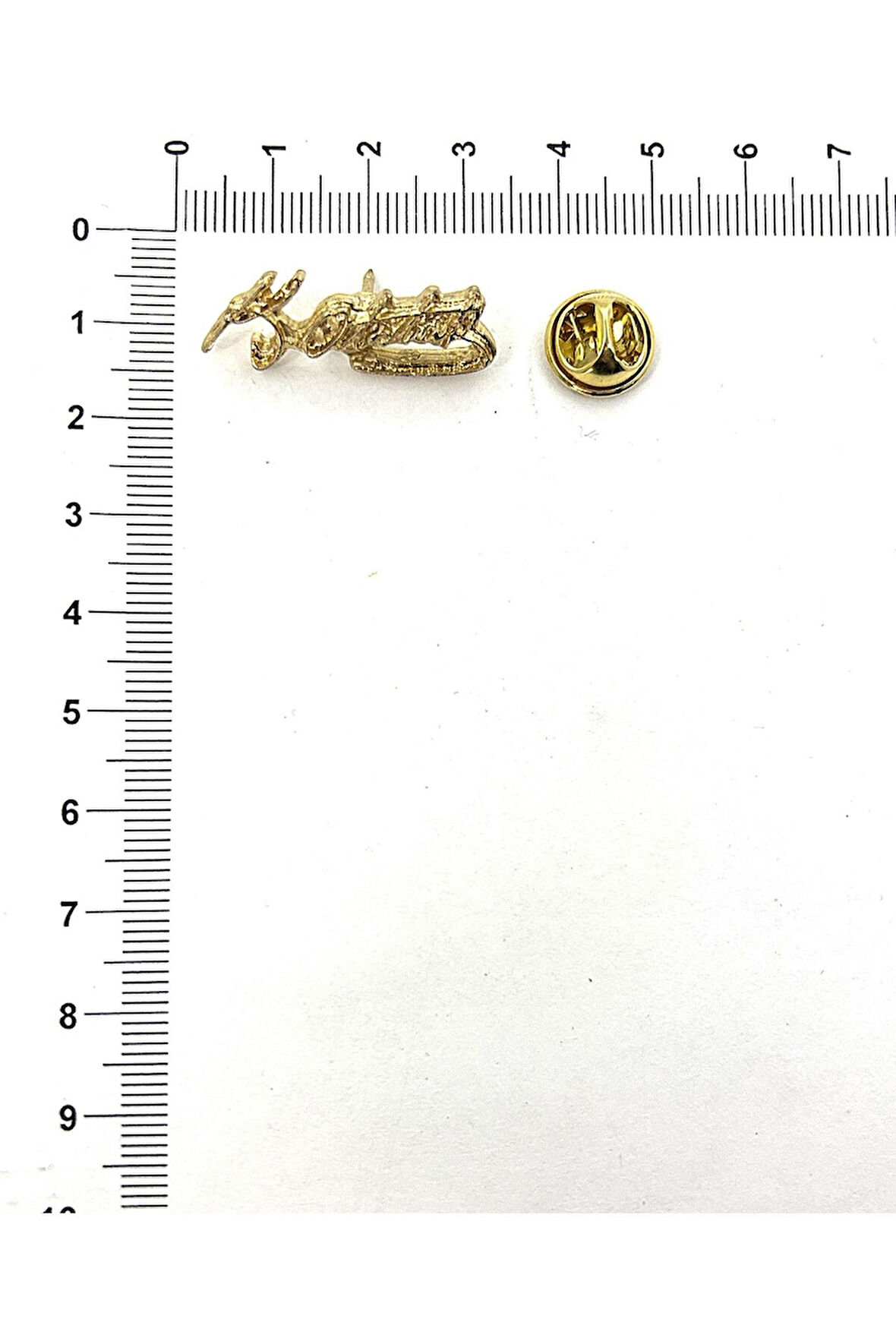 ATATÜRK TEMALI ROZET (5 ADET)