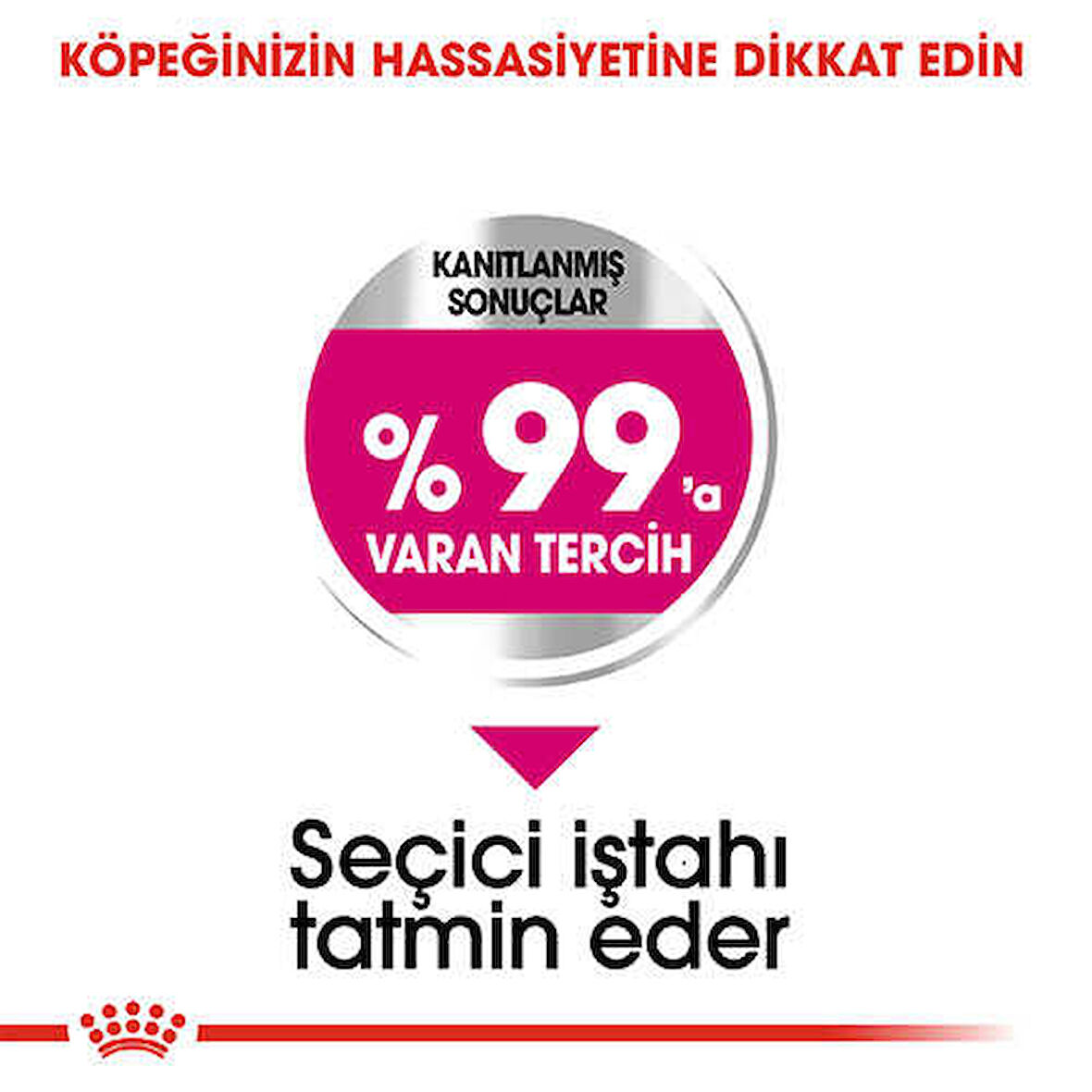 Royal Canin Mini Exigent Yetişkin Köpek Maması 3 Kg