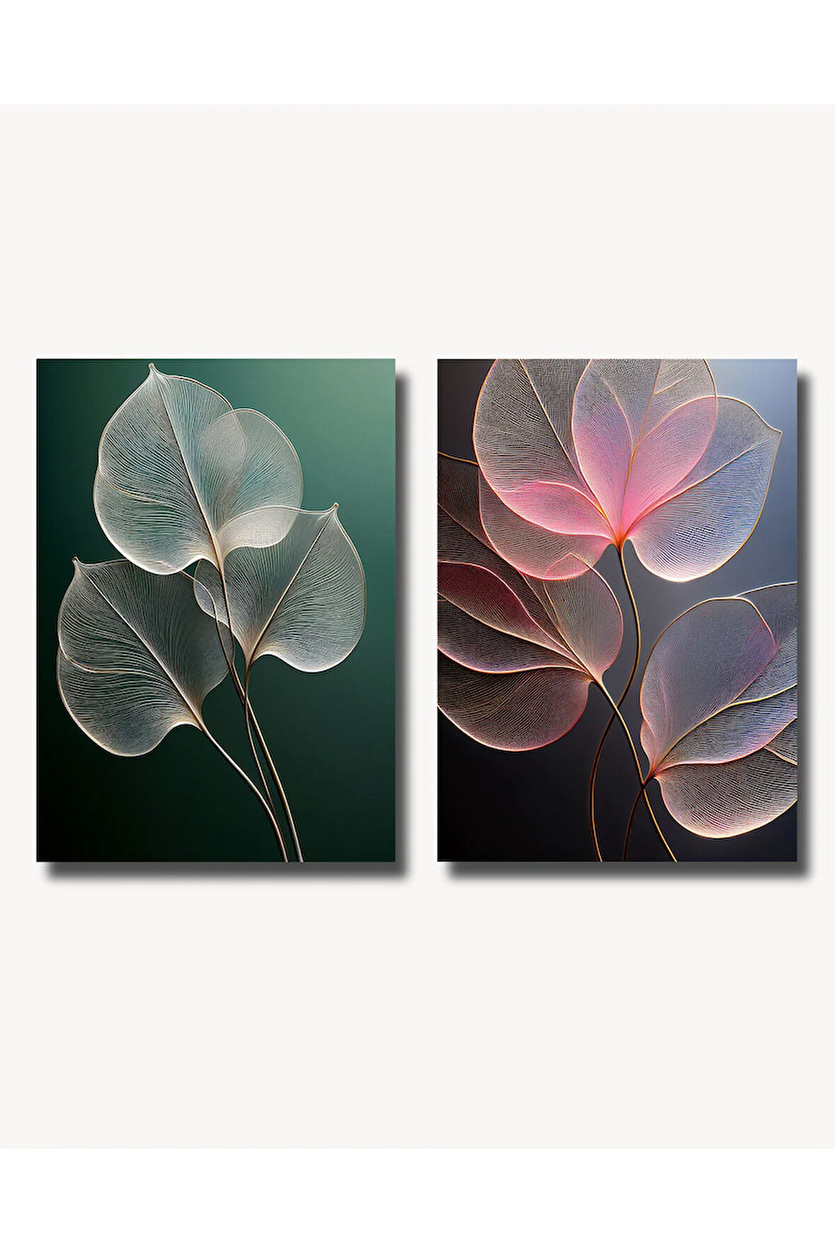 Çerçevesiz Poster 2'li Set, Soyut Minimal Şeffaf Yaprak,Çiçek Desenli,Modern Dekorasyon